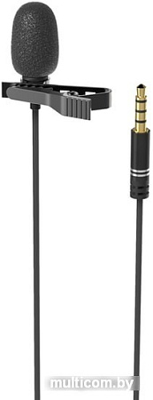 Микрофон Ritmix RCM-110