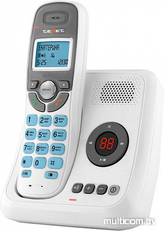 Радиотелефон TeXet TX-D6955A