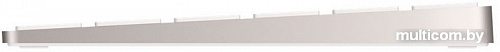 Клавиатура Apple Magic Keyboard [MLA22RU/A]