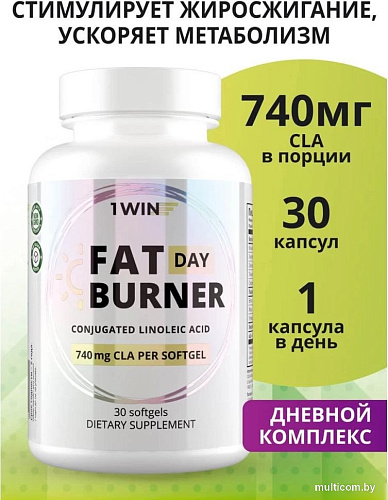 Аминокислоты 1WIN Fat Burner Day (30 капсул)