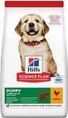 Сухой корм для собак Hill's SP для щенков крупных пород с курицей 14.5 кг