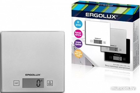 Кухонные весы Ergolux ELX-SK01-С03