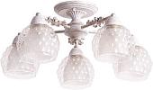 Люстра средней высоты Arte Lamp Malina A7695PL-5WG