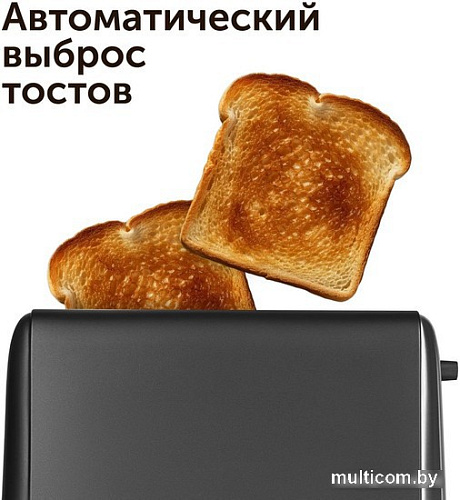 Тостер RED evolution RT-44