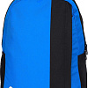Puma TeamGOAL 23 07685402 (черный/синий)