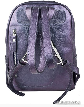 Городской рюкзак Carlo Gattini Premium Anzolla 3040-57 (северное сияние)