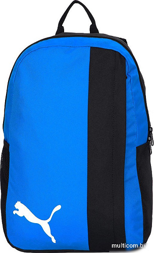 Puma TeamGOAL 23 07685402 (черный/синий)