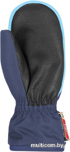 Варежки Reusch Ben Mitten 4685408-4503 21/22 (р. 0, dress blue)