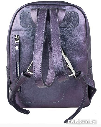 Городской рюкзак Carlo Gattini Premium Anzolla 3040-57 (северное сияние)