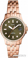 Наручные часы Fossil FB-01 ES4970