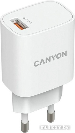 Сетевое зарядное Canyon CNE-CHA18W