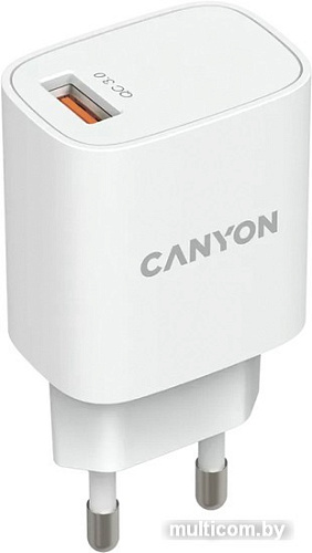 Сетевое зарядное Canyon CNE-CHA18W