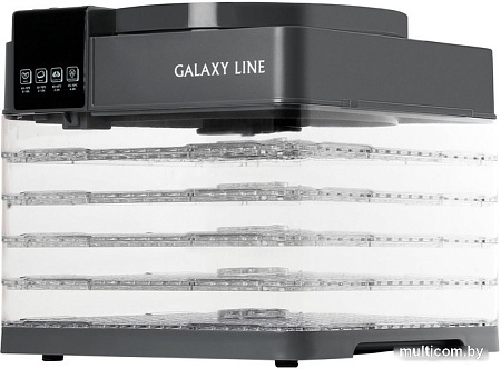 Сушилка для овощей и фруктов Galaxy Line GL2630 (серый)