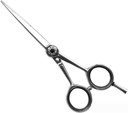 Ножницы парикмахерские Sergio Professional PDQ-55