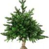 National Tree Company Грация Премиум ГР/ПР-60 60 см