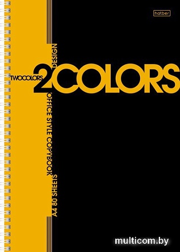 Общая тетрадь Hatber 2 colors 80Т4В1гр (80 л)