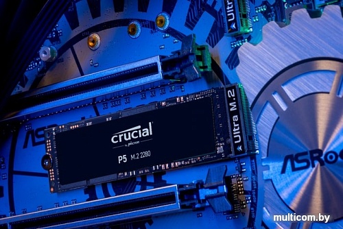 SSD Crucial P5 1TB CT1000P5SSD8