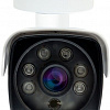 IP-камера Ginzzu HIB-2301A