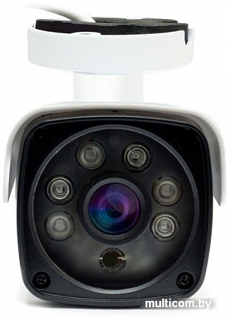 IP-камера Ginzzu HIB-2301A