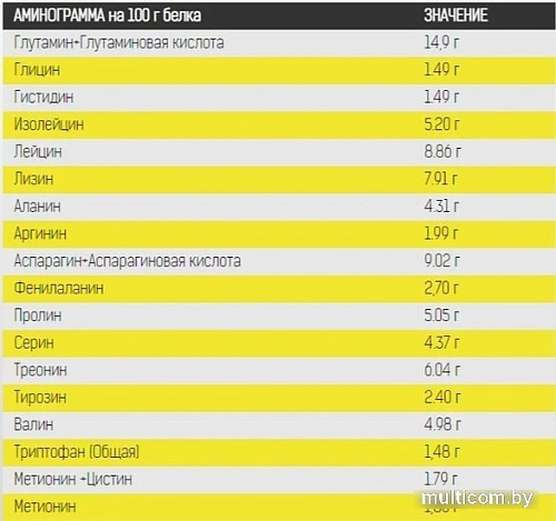 Протеин Binasport WPC 80 (750г, шоколад/мята)