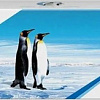 Картридж G&amp;G GG-W1470X (аналог HP W1470X)