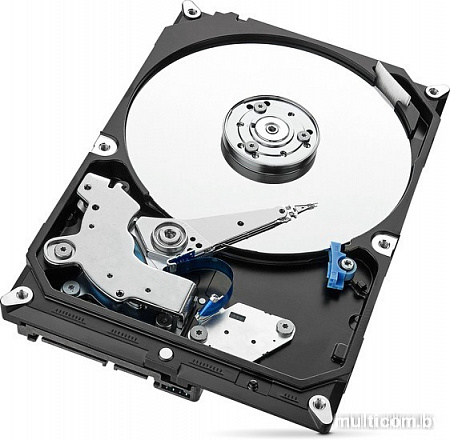 Жесткий диск Seagate Skyhawk 1TB [ST1000VX005]