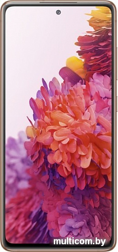 Смартфон Samsung Galaxy S20 FE SM-G780G 6GB/128GB (оранжевый)