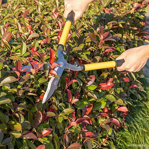 Секатор Deli EDL2806