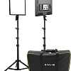 Комплект студийного света Raylab RL-50 Kit