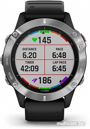 Умные часы Garmin Fenix 6 (серебристый/черный)