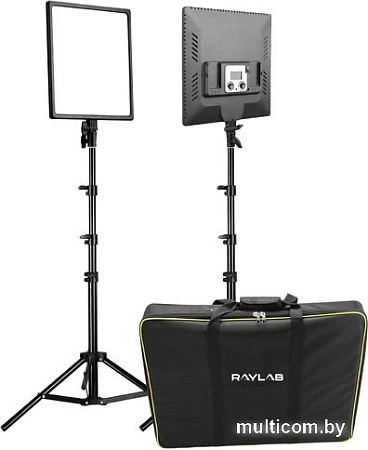 Комплект студийного света Raylab RL-50 Kit