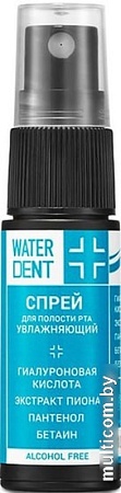 Спрей для полости рта Waterdent Увлажняющий 15 мл