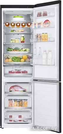 Холодильник LG DoorCooling+ GC-B509SBUM