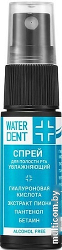 Спрей для полости рта Waterdent Увлажняющий 15 мл