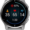 Умные часы Garmin Venu 2 Plus (серебристый/серый)