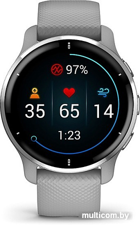 Умные часы Garmin Venu 2 Plus (серебристый/серый)