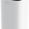 Климатический комплекс Garlyn AirClean V60