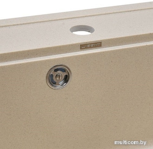 Кухонная мойка Wisent 600-30W (с сифоном GER013)