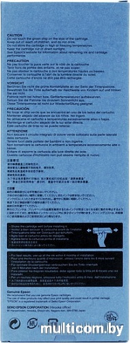 Картридж Epson C13T606700