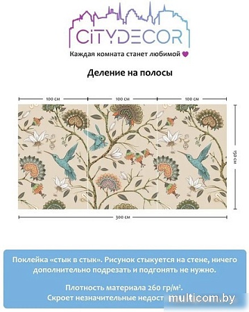 Фотообои Citydecor Абстракция 1 300x150