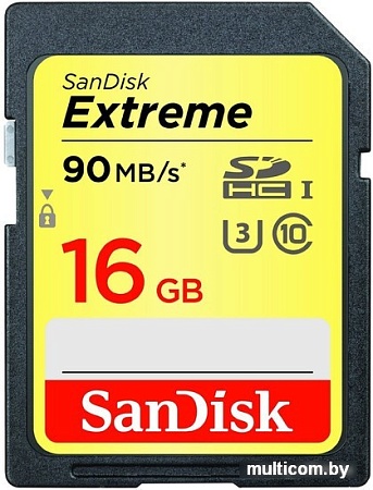 Карта памяти SanDisk Extreme SDHC Class 10 16GB [SDSDXNE-016G-GNCIN]