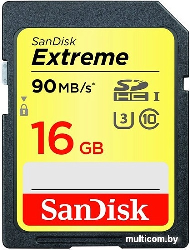 Карта памяти SanDisk Extreme SDHC Class 10 16GB [SDSDXNE-016G-GNCIN]