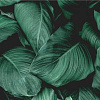 Фотообои Vimala Объемные листья 270x300