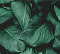 Фотообои Vimala Объемные листья 270x300