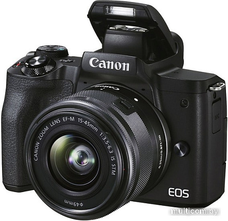 Беззеркальный фотоаппарат Canon EOS M50 Mark II Kit EF-M 15-45mm f/3.5-6.3 IS STM (черный)