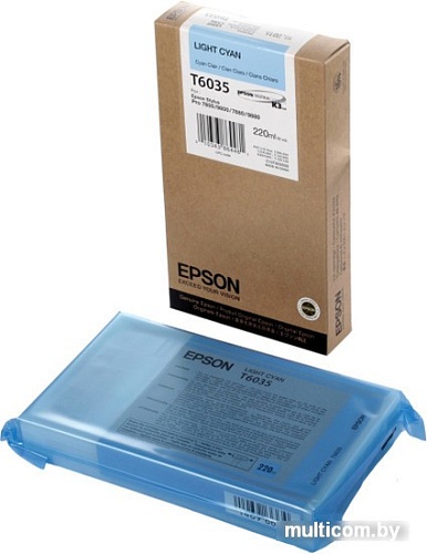 Картридж Epson C13T603500