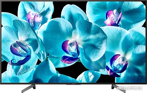 Телевизор Sony KD-75XG8096