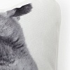Декоративная подушка Этель Cat family 10864246
