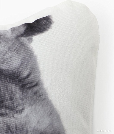 Декоративная подушка Этель Cat family 10864246