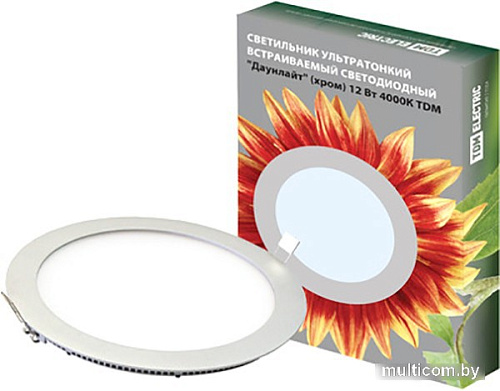 Точечный светильник TDM Electric Даунлайт СВО 12 Вт 4000К SQ0329-0014 (хром)